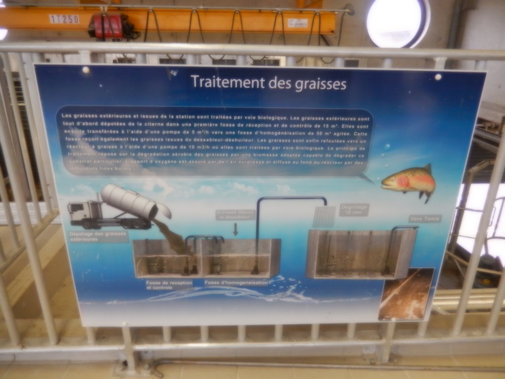 DSCN4852